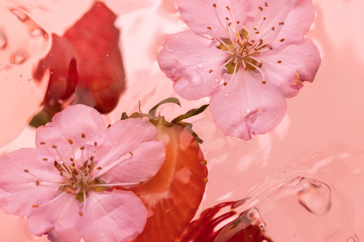 Cherry Blossom Amoureux