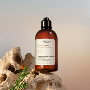 Force & Volume | Kondisioner
