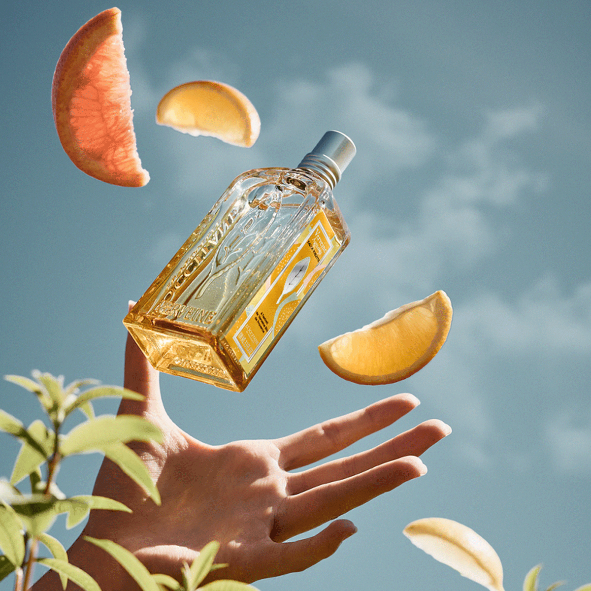 Citrus Verbena | Eau de Toilette