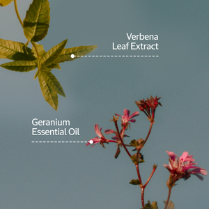 Verveine Géranium | Крем для Рук