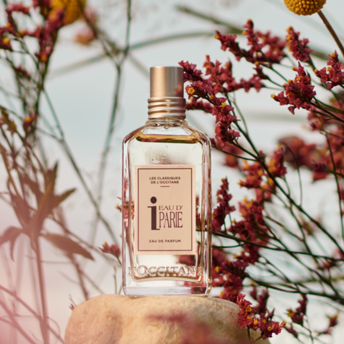 Eau D'iparie | Парфюмированная Вода
