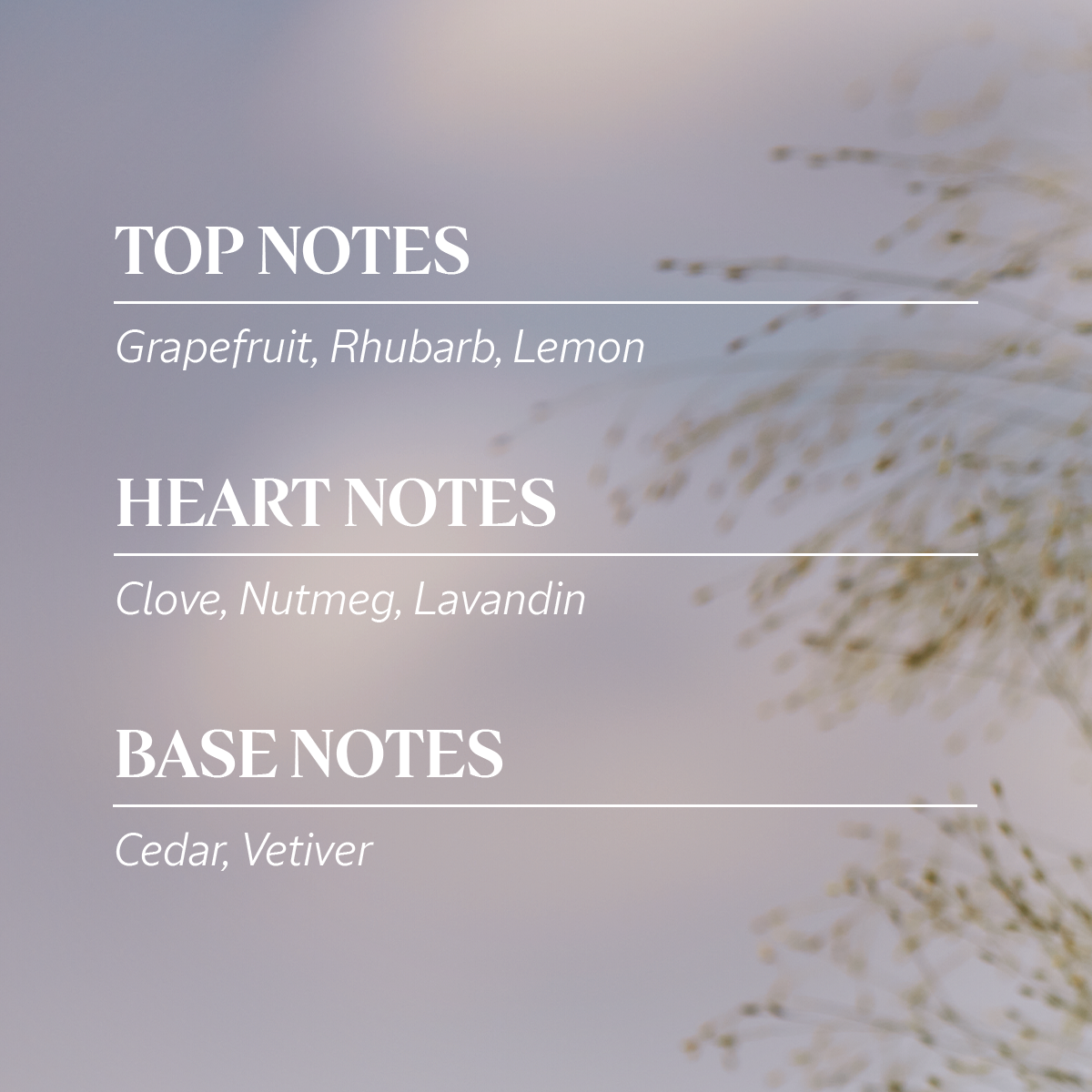 Pamplemousse Rhubarbe | Eau de Toilette