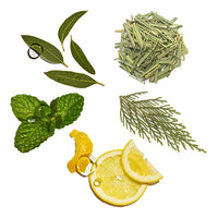Anti_Dandruff_Range Featured Ingredient - L'Occitane