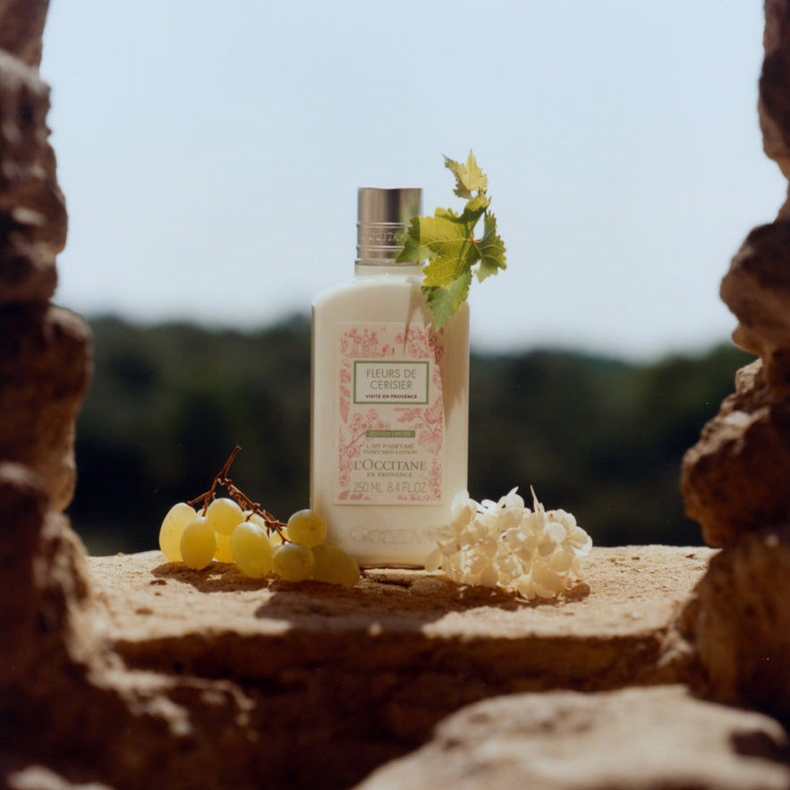Cherry Blossom «Visite en Provence» | Bədən Losyonu