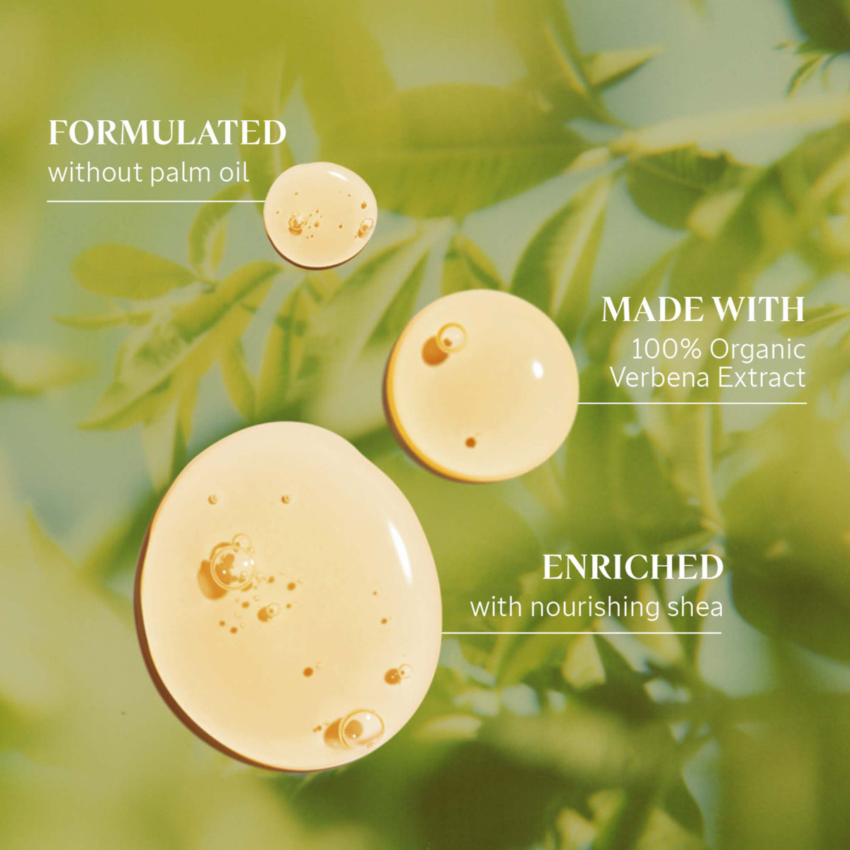 Shea Verbena | Maye Sabun