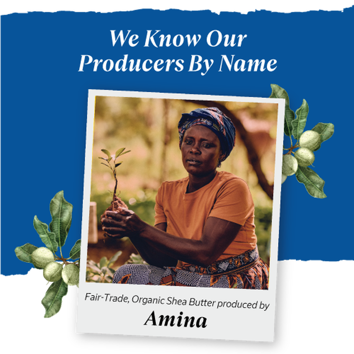 Shea Verbena | Maye Sabun