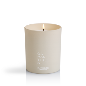 Osmanthus | Şam