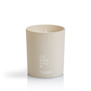 Osmanthus | Şam