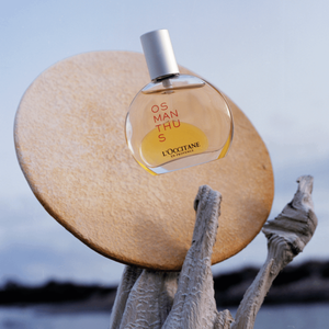 Osmanthus | Perfume in Oil