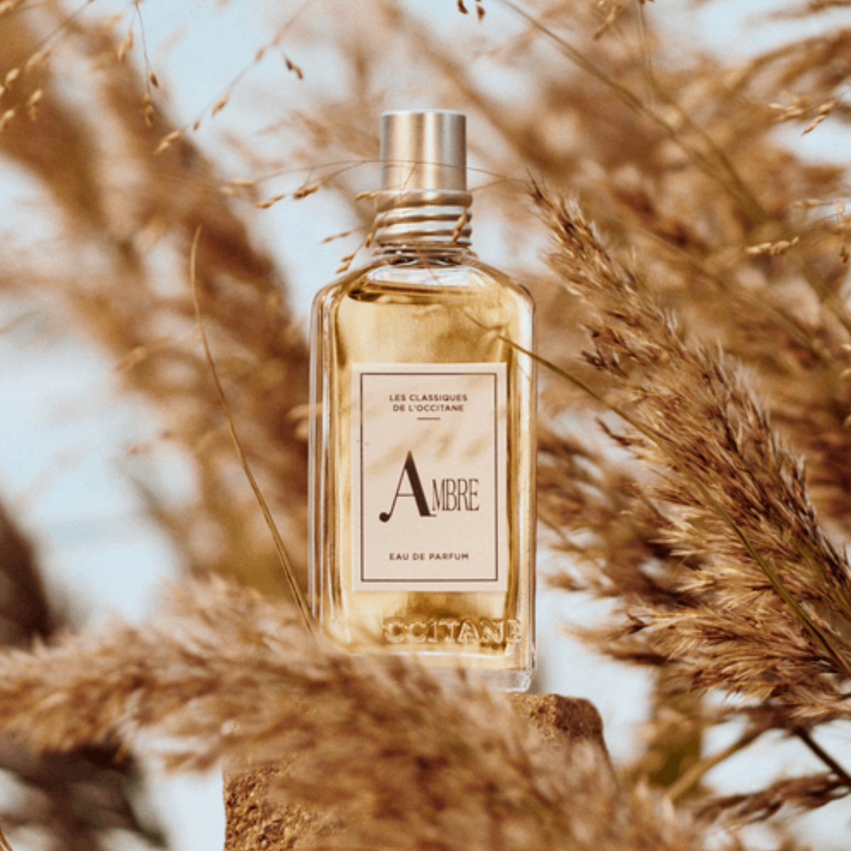 Ambre | Eau de Parfum