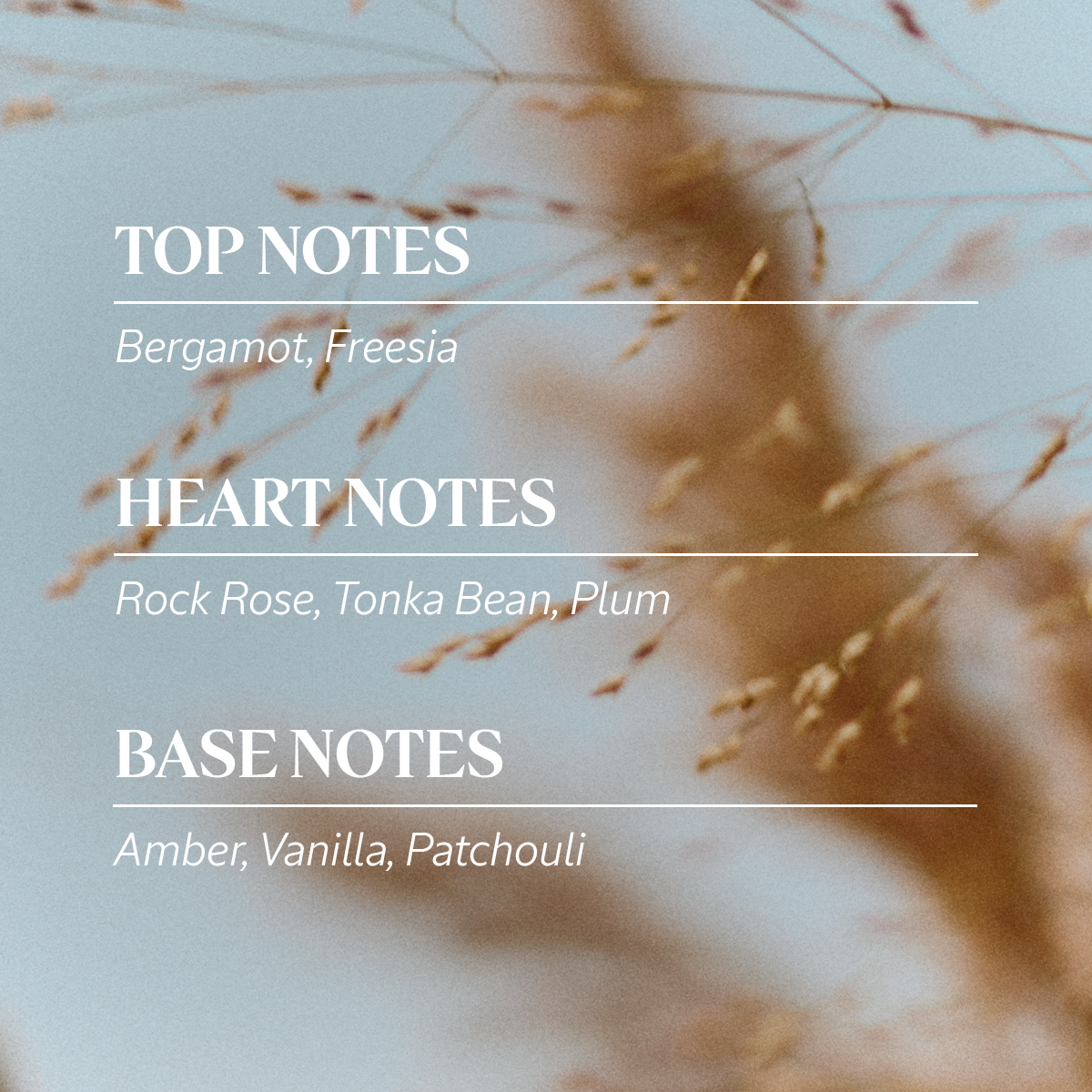 Ambre | Eau de Parfum