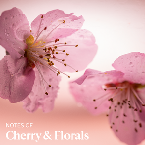 cherry-blossom-product-description-1