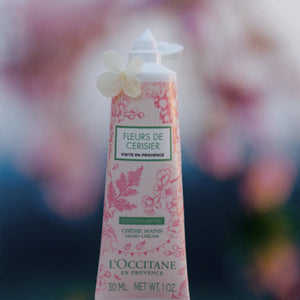 Cherry Blossom «Visite en Provence» | Əl Kremi