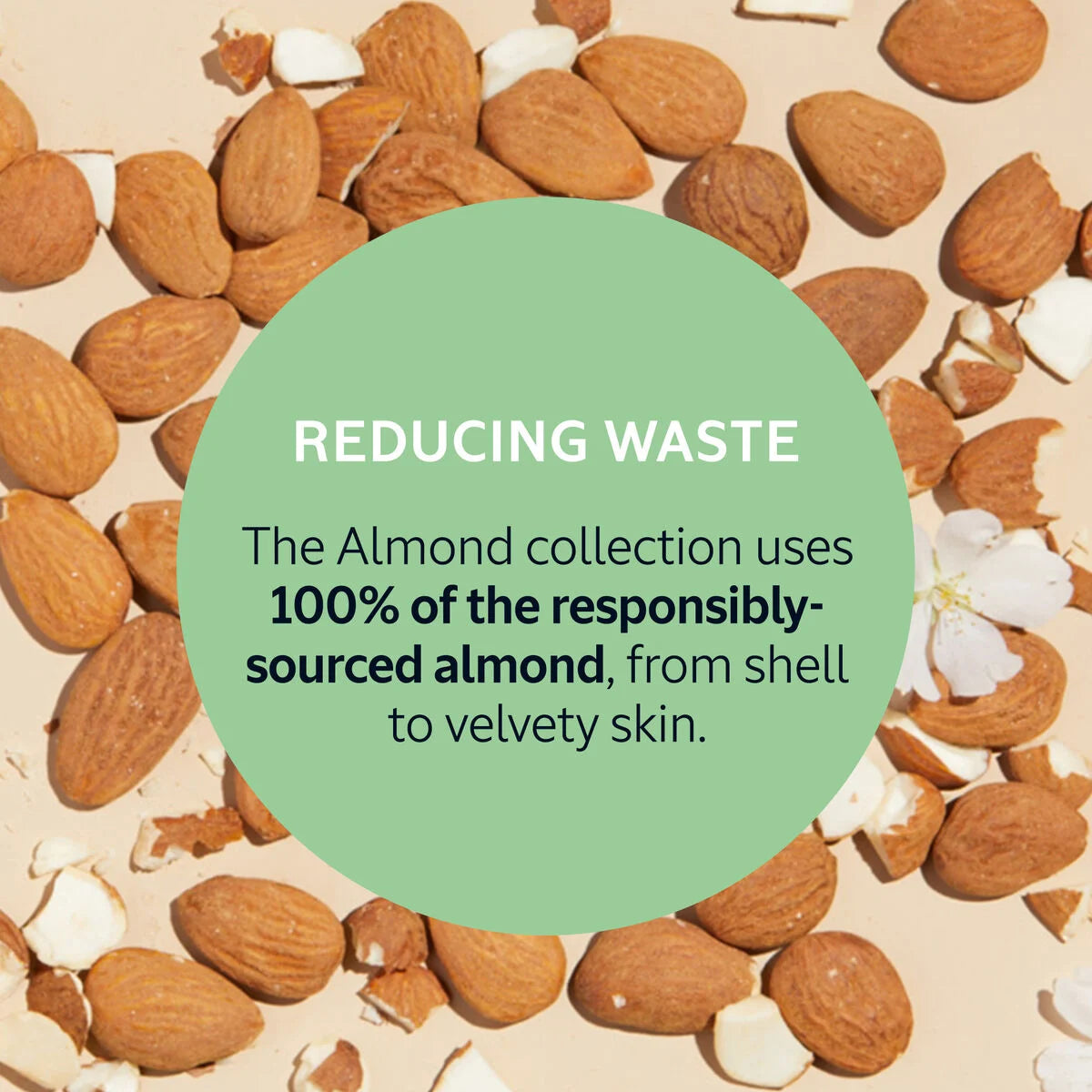 Almond | Duş Kremi