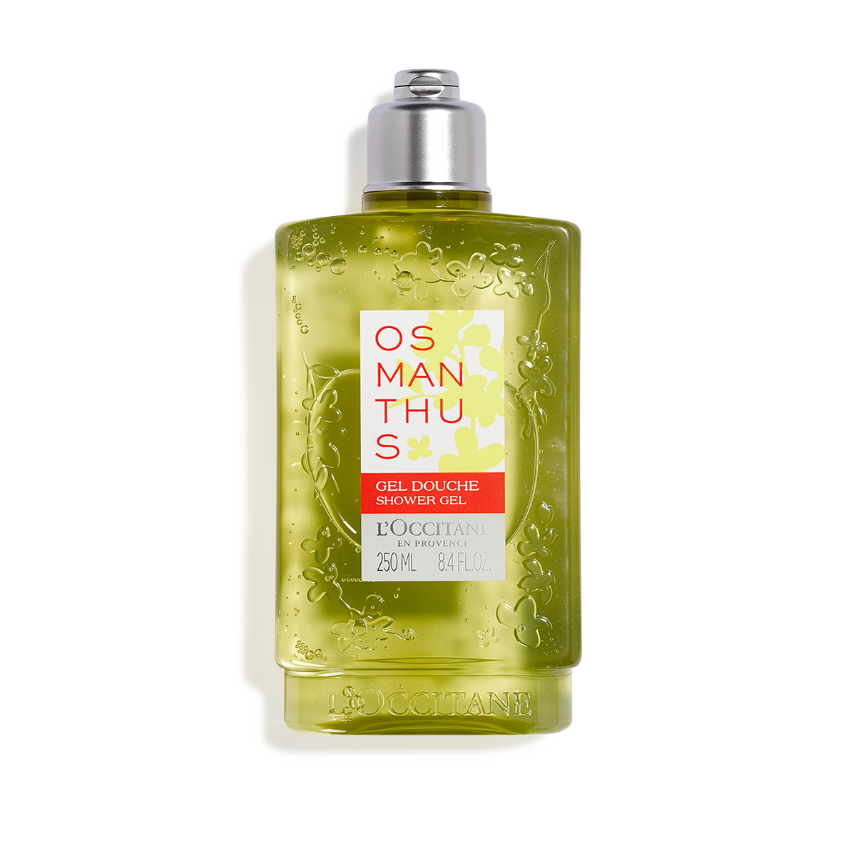 Osmanthus | Duş Geli